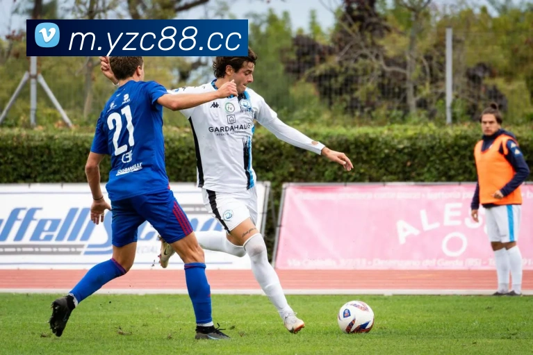 ca888亚洲城· 中国 集团服务体系