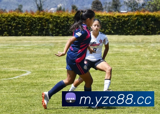 ca888亚洲城· 中国 集团APP 体育赛事宣传图